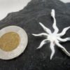 Sterling Silver Sunburst Pendant